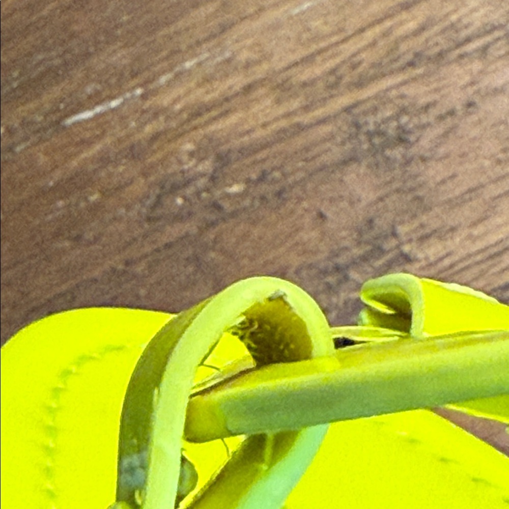 Tory Burch Miller Patent Leather Fluo Neon  YELLOW - Picture 12 of 13